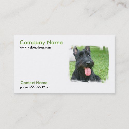Scottish Terrier Dog Business Card