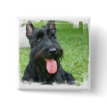 Scottish Terrier Dog Button