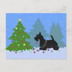 Scottish Terrier Dog Decorating Christmas Tree Holiday Postcard