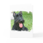 Scottish Terrier Dog Greeting Card