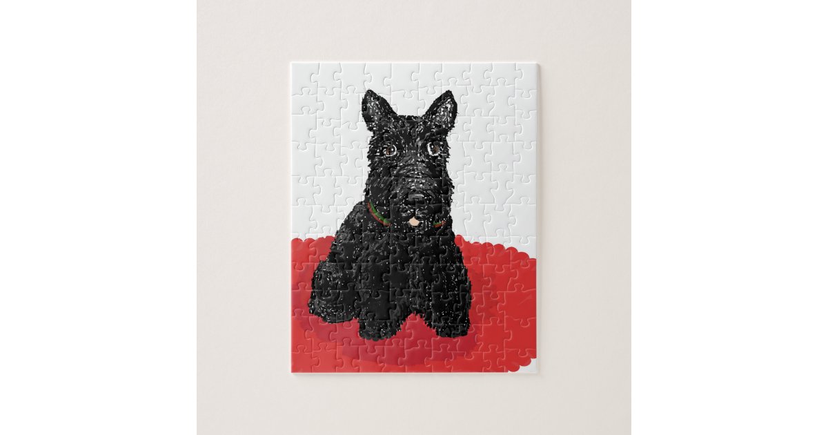 red scottish terrier