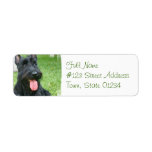 Scottish Terrier Dog Return Address Label