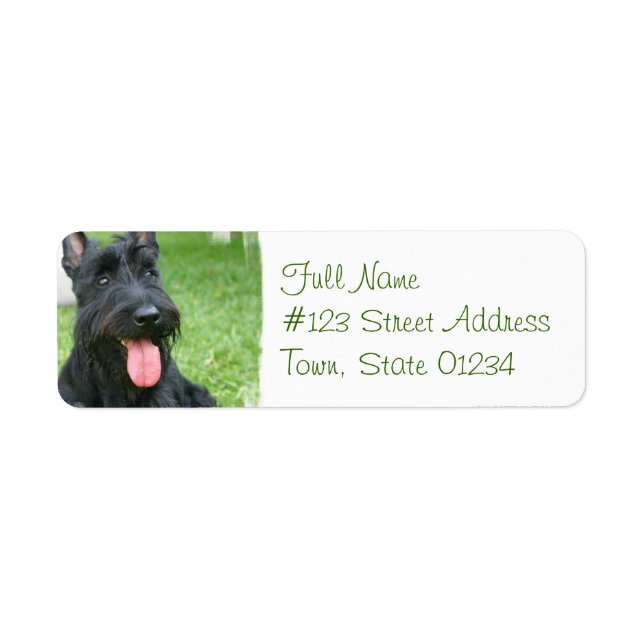 Scottish Terrier Dog Return Address Label (Front)
