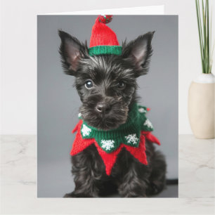 Scottish Terrier Elf Puppy Christmas Card