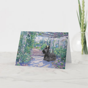 Scottish Terrier Get Well Wishes Card