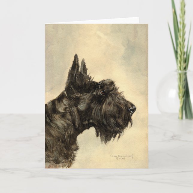 Scottish Terrier Greeting Card (Front)