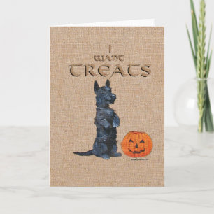 Scottish Terrier Greeting Card