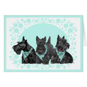 Scottish Terrier Greeting Card