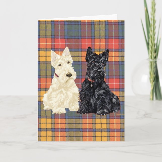 Scottish Terrier Greeting Card (Front)