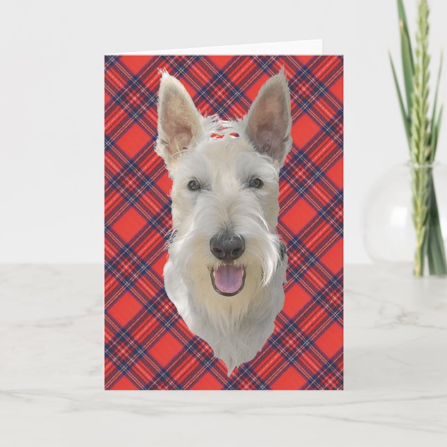 Scottish Terrier Greeting Card (Front)