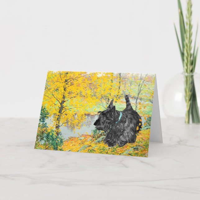 Scottish Terrier Greeting Card (Front)