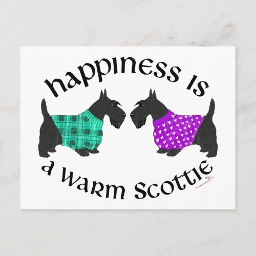 Scottish Terrier Happiness Postcard