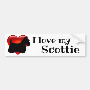 Scottish Terrier,heart, I love my scottie Bumper Sticker