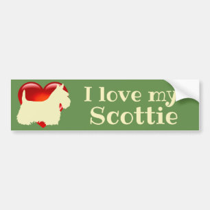 Scottish Terrier, I love my Scottie/wheaten/heart Bumper Sticker