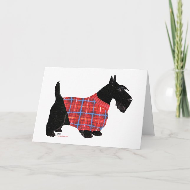 Scottish Terrier in a Sweater Holiday Card (Front)
