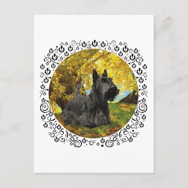 Scottish Terrier in Autumnal Woods Postcard (Front)