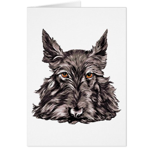 Scottish Terrier in Black Cards (Front)