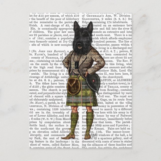 Scottish Terrier in Kilt Postcard (Front)