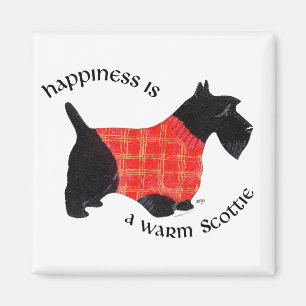 Scottish Terrier in Red Plaid Sweater Magnet