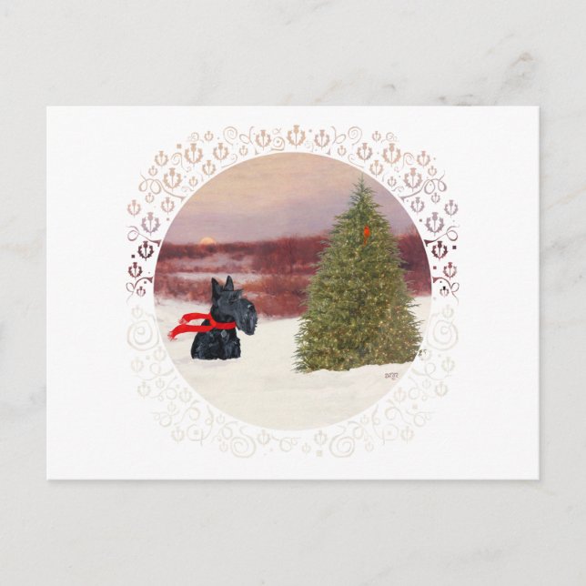 Scottish Terrier in Wintertime Postcard (Front)