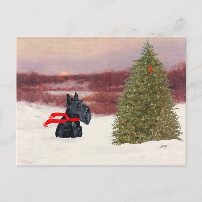 Scottish Terrier in Wintertime Postcard (Front)