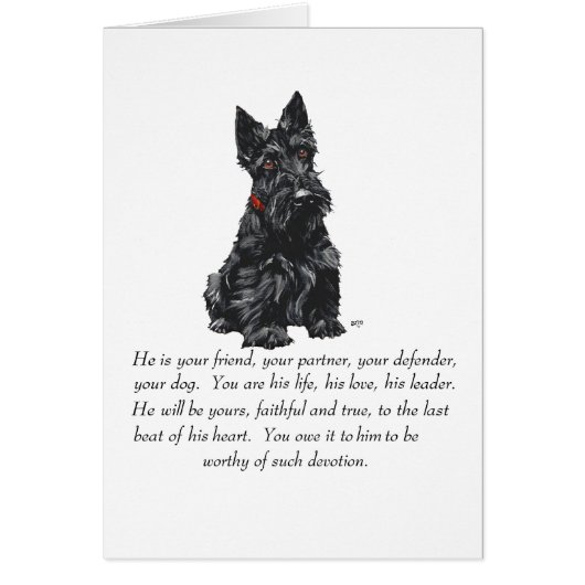 Scottish Terrier Keepsake Cards (Front)