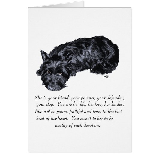 Scottish Terrier Keepsake - FEMALE Cards (Front)