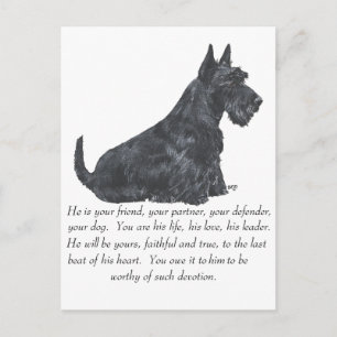 Scottish Terrier Keepsake - MALE Dog Postcard