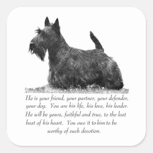Scottish Terrier Keepsake _ MALE Dog Square Sticker
