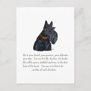 Scottish Terrier Keepsake Postcard
