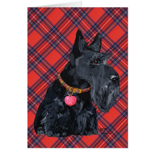Scottish Terrier Love (Front)