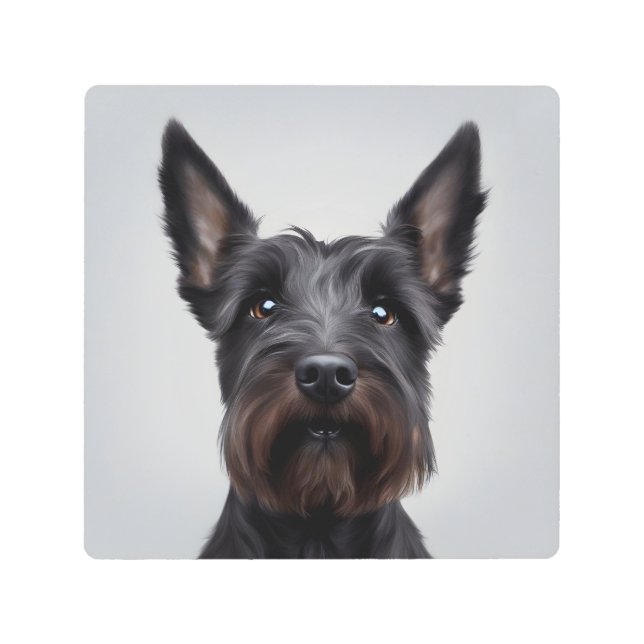 Scottish Terrier Metal Print (Front)