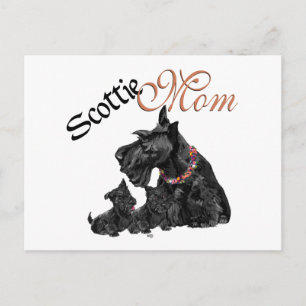 Scottish Terrier Mom & Pups for Mother's Day Postcard