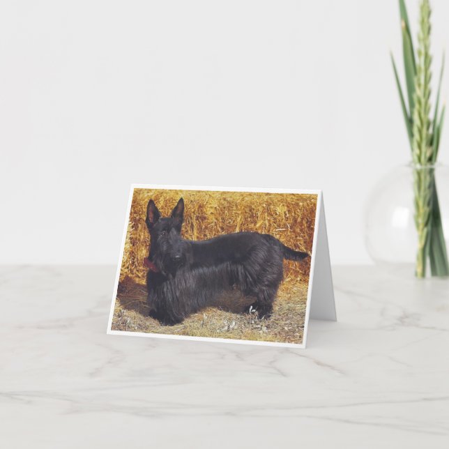 Scottish Terrier, note card (Front)