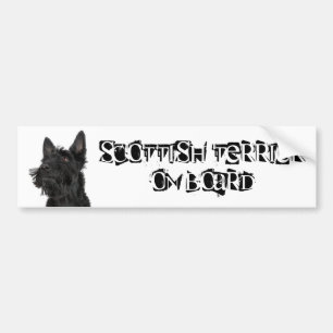 Scottish Terrier on Board Bumper Sticker