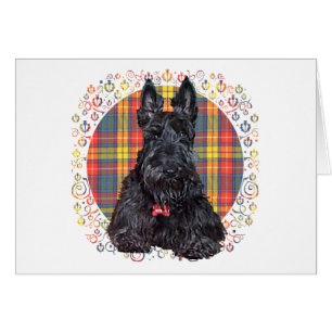 Scottish Terrier on Buchanan Plaid Cards