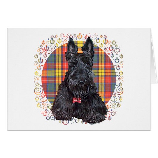 Scottish Terrier on Buchanan Plaid Cards (Front Horizontal)