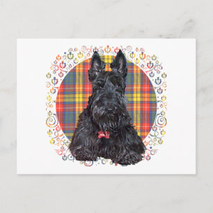 Scottish Terrier on Buchanan Plaid Postcard