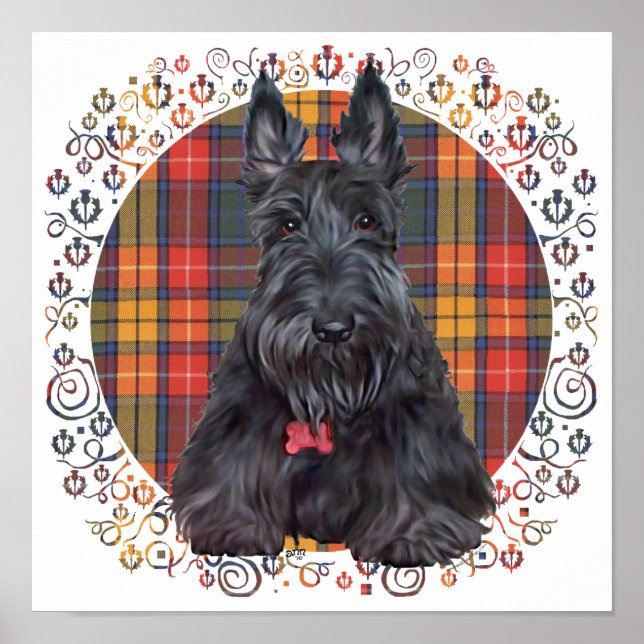 Scottish Terrier on Tartan Poster (Front)