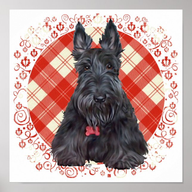 Scottish Terrier on Tartan Poster (Front)