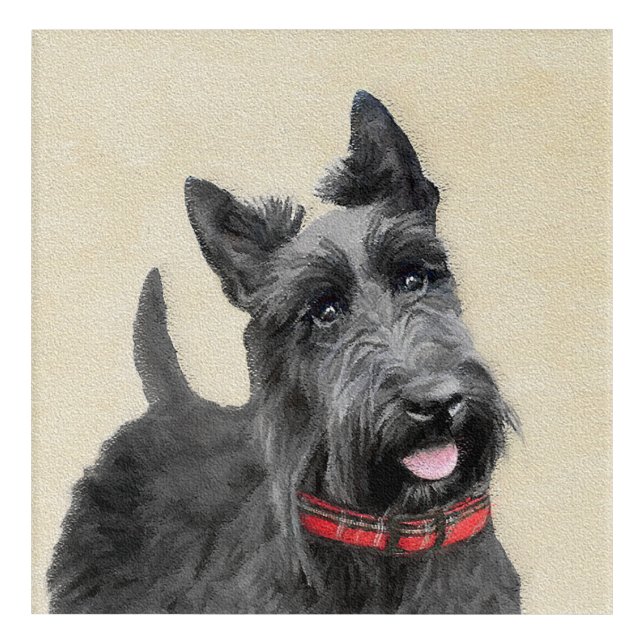 Scottish Terrier Painting - Cute Original Dog Art (Front)
