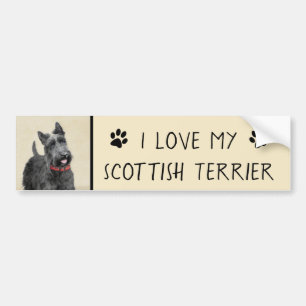 Scottish Terrier Painting - Cute Original Dog Art Bumper Sticker