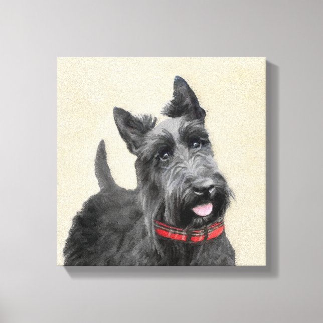 Scottish Terrier Painting - Cute Original Dog Art Canvas Print (Front)
