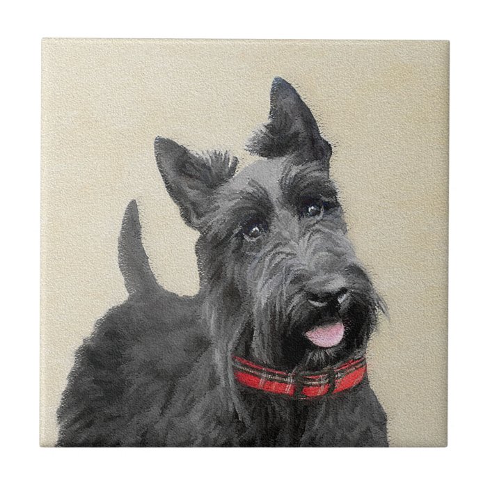 Scottish Terrier Painting - Cute Original Dog Art Ceramic Tile | Zazzle.com