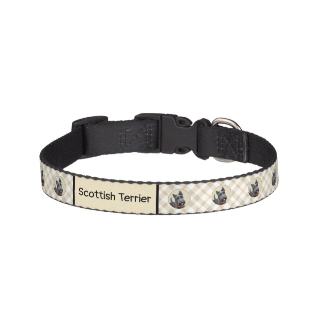 Scottish Terrier Painting - Cute Original Dog Art Pet Collar (Front)