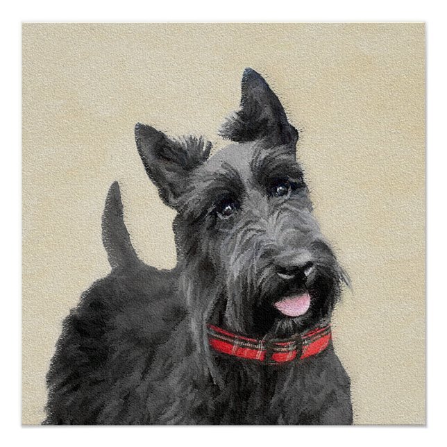 Scottish Terrier Painting - Cute Original Dog Art Poster (Front)