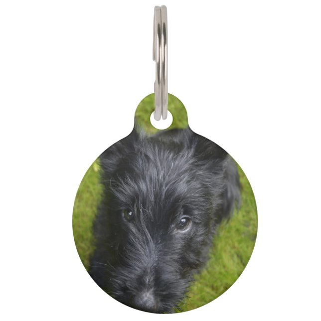 Scottish Terrier. Pet ID Tag (Front)