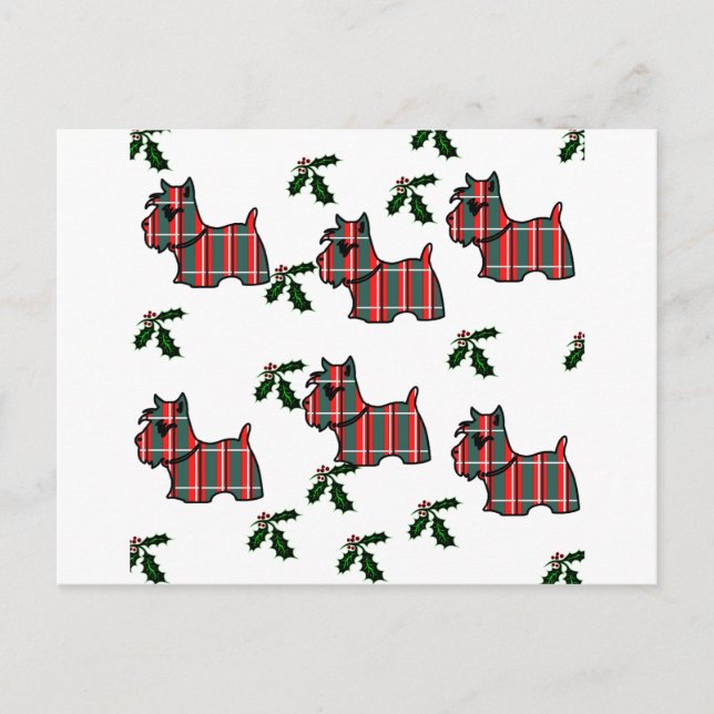 SCOTTISH TERRIER POSTCARD (Front)