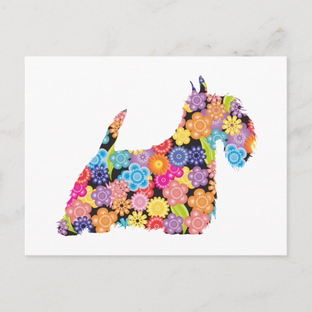 Scottish Terrier Postcard (Front)