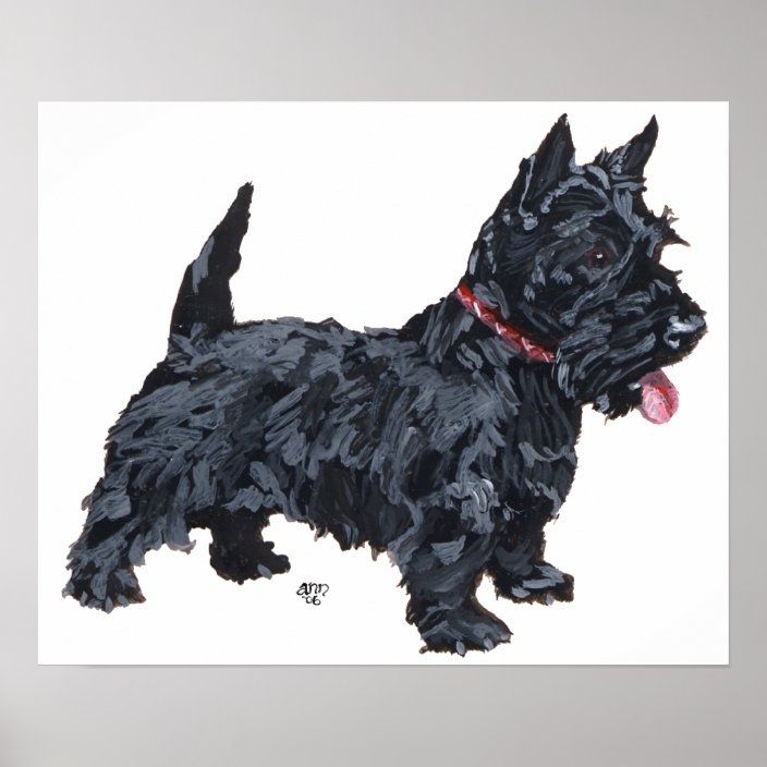 Scottish Terrier Poster | Zazzle.com